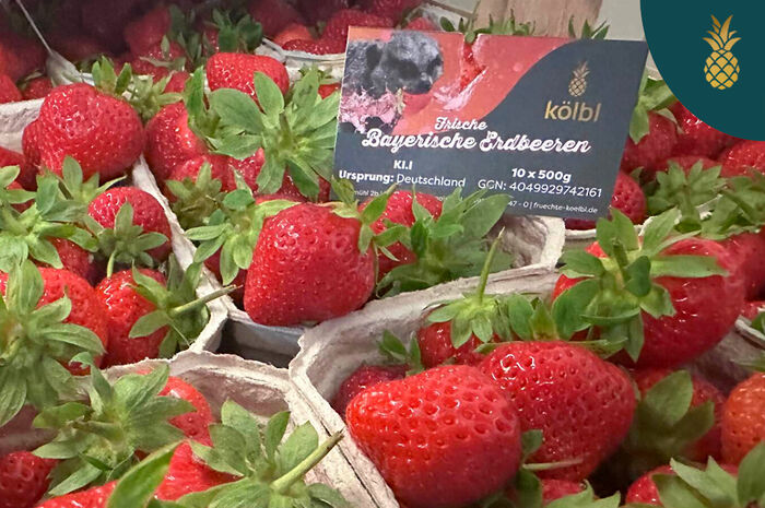 Erdbeeren - Früchte Kölbl, Lieferant Wellnesshotel Jaghdof, Bayerischer Wald